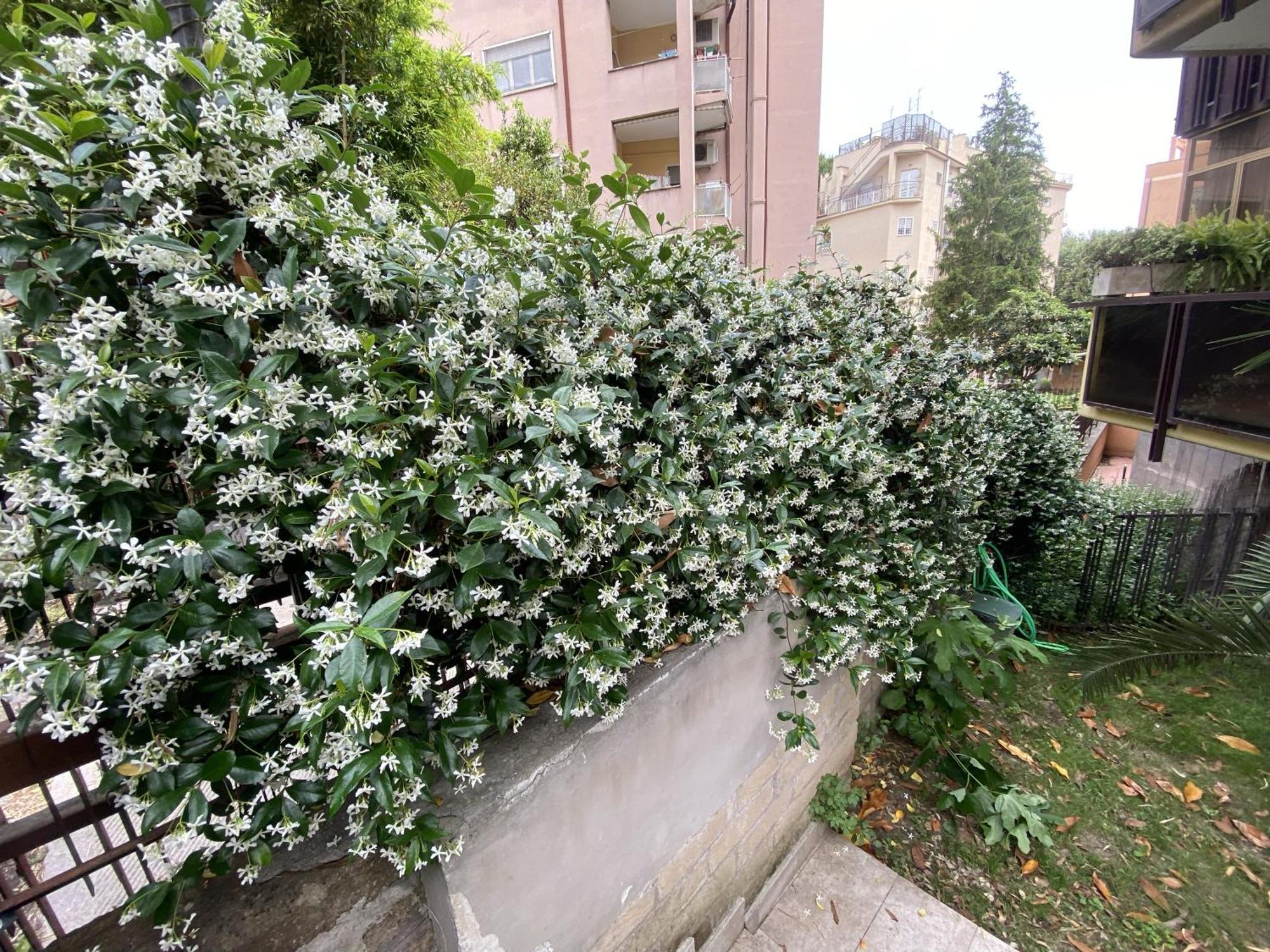 Сasa de vacaciones Garden House - Casa Con Giardino Privato *