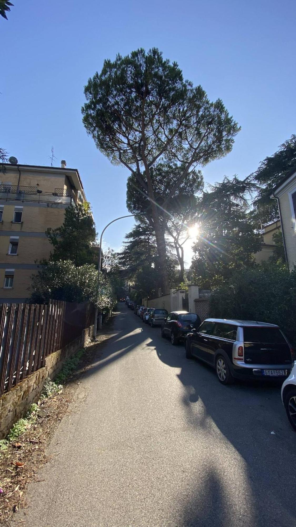 Garden House * Roma